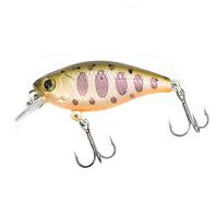 Chip 40F MR