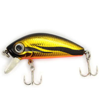 L-MINNOW