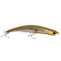 BENT MINNOW
