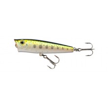 SKY Popper 65