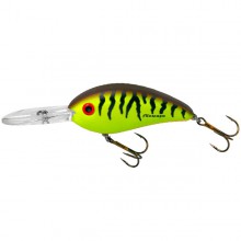 FAT FREE SHAD BD7F