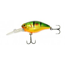 Raven XL 40F