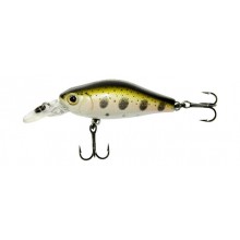 Raven XS 55F