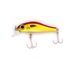 Rigge 35