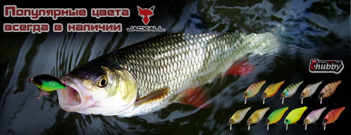 Воблеры Jackall